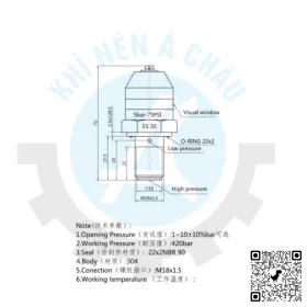 Bao nghet loc dau-Filter-Clogging-Indicator-Wks10-20-2-5bar