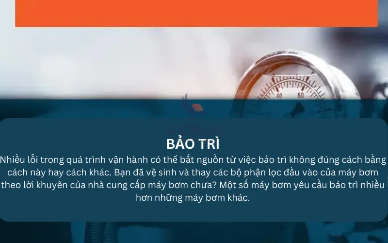 Bảo trì