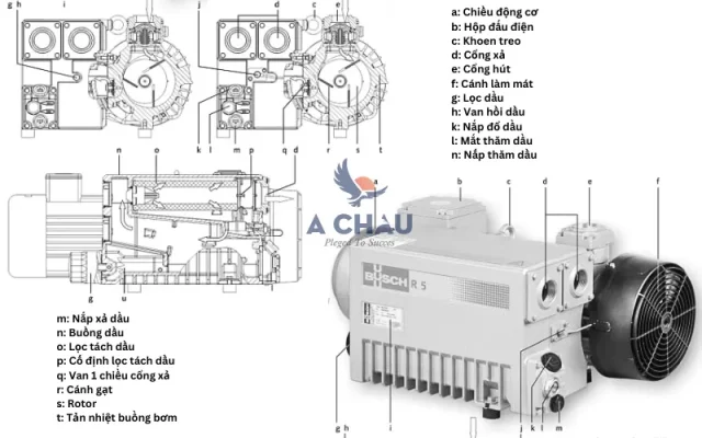 Cấu tạo của bơm chân không