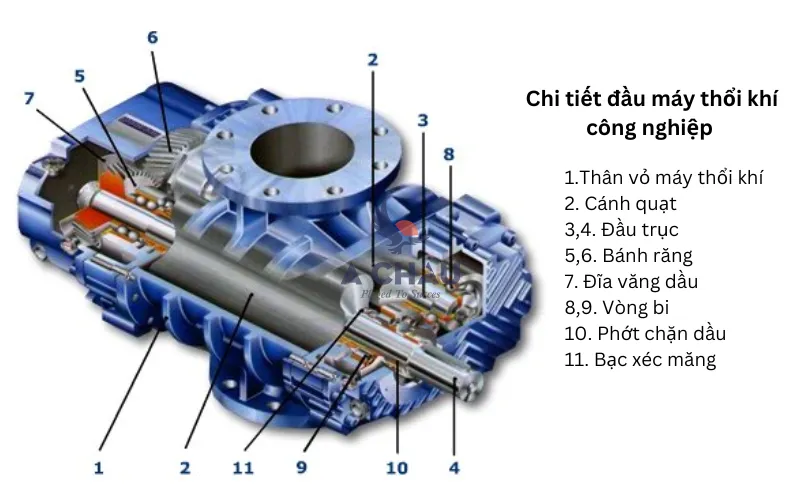 Cấu tạo đầu máy thổi khí