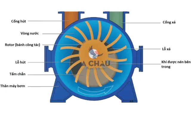 Cấu tạo bơm chân không vòng nước