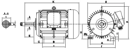 Động cơ quạt máy nén khí Atlas Copco|Fan Motor