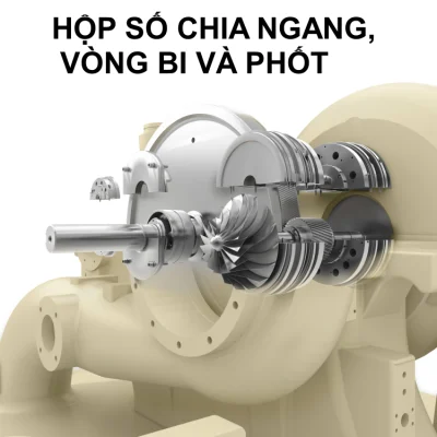 HỘP SỐ CHIA NGANG, VÒNG BI VÀ PHỐT