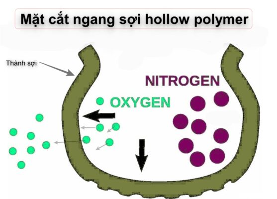 Mặt cắt ngang sợi