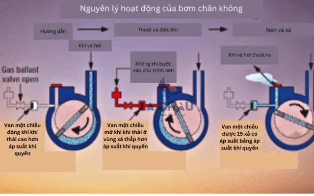 Nguyên lý hoạt động của bơm chân không