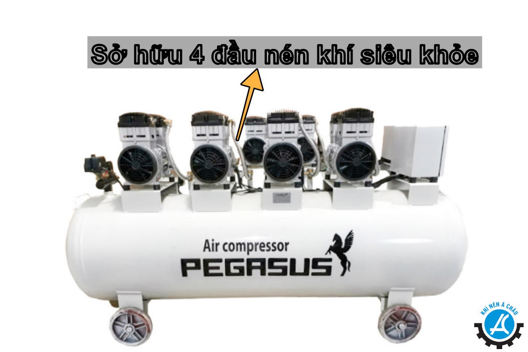 Pegasus 6HP TM-OF1100X4-300L