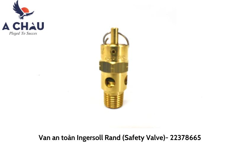 Van an toàn máy nén khí Ingersoll Rand - 22378665